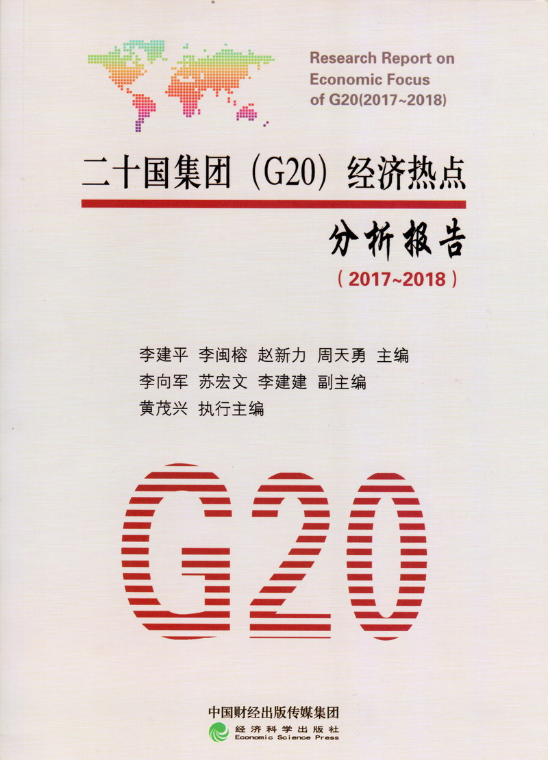 肥婆插插插二十国集团（G20）经济热点分析报告（2017-2018）